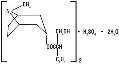 Structure (Screenshot 2026 07 28 151950)